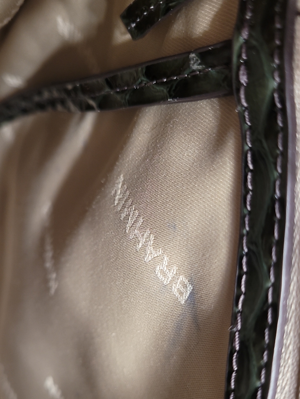 Brahmin Caroline  (Hunter Amaya) - Picture 2 of 5